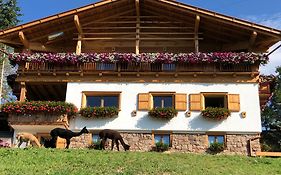 B&B Belvedere